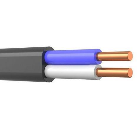 Кабель ВВГ-Пнг(А) 2х4 ОК (N) 0.66кВ (м) Кабэкс ТХМ00214373